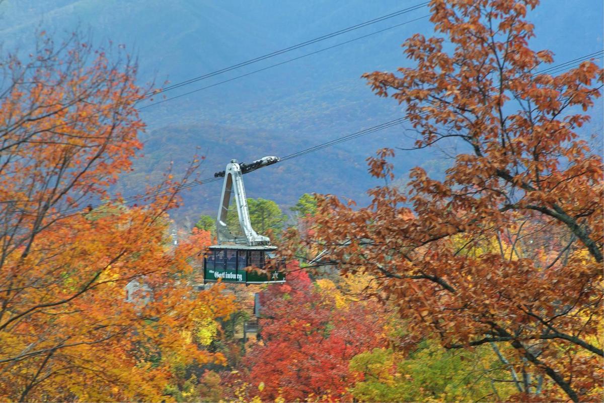 Moonshiner'S Legacy Holiday Home Gatlinburg Eksteriør bilde